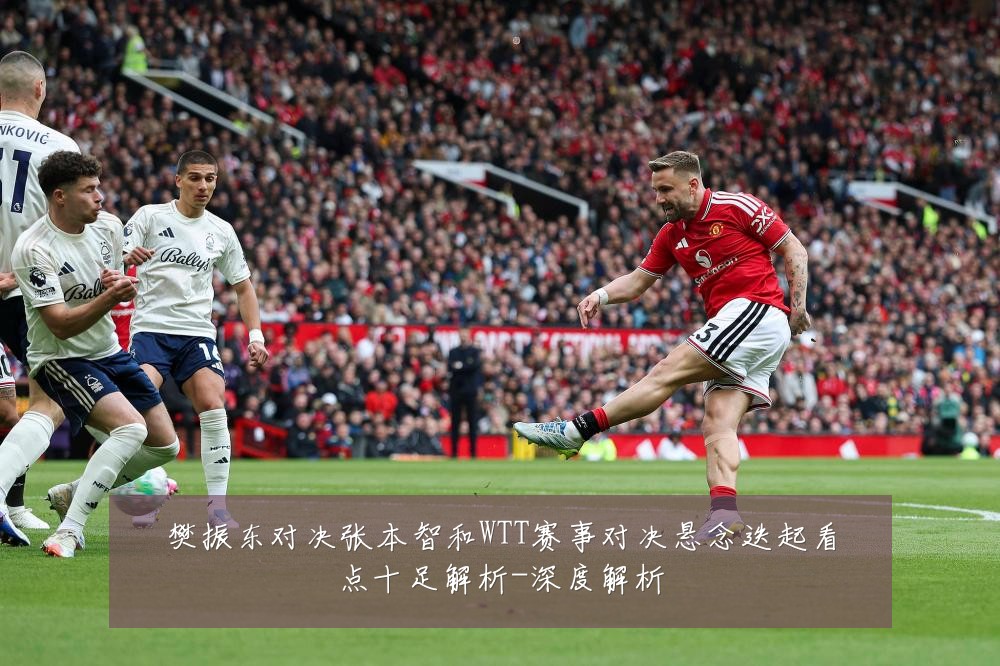 樊振东对决张本智和WTT赛事对决悬念迭起看点十足解析-深度解析