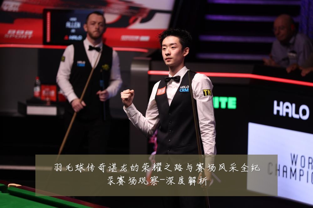 羽毛球传奇谌龙的荣耀之路与赛场风采全纪录赛场观察-深度解析