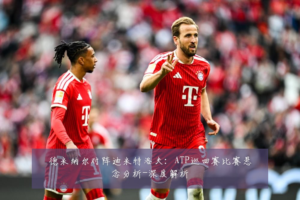 德米纳尔对阵迪米特洛夫:ATP巡回赛比赛悬念分析-深度解析